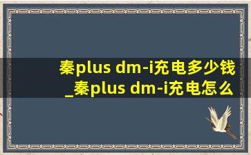 秦plus dm-i充电多少钱_秦plus dm-i充电怎么充